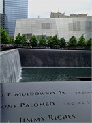 NewYork 29